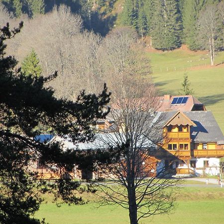 Obergrabnerhof Apartment Ramsau am Dachstein Luaran gambar