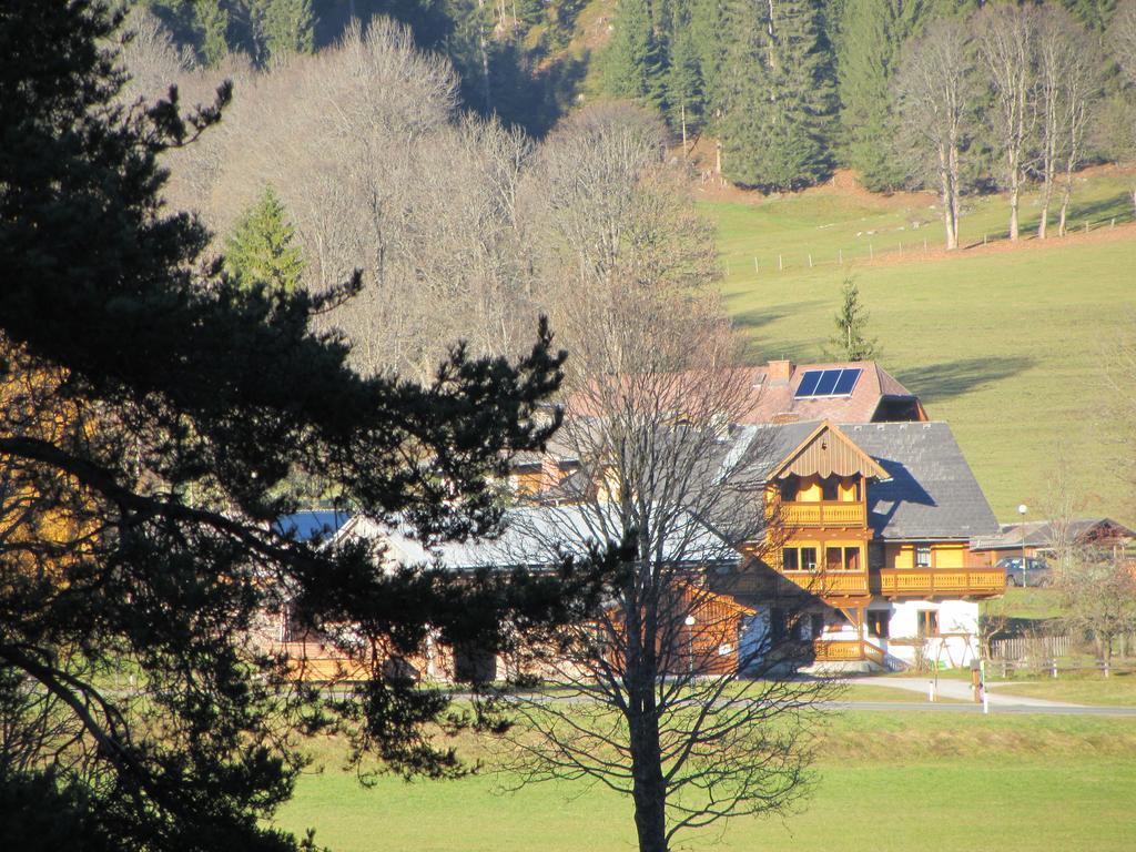 Obergrabnerhof Apartment Ramsau am Dachstein Luaran gambar